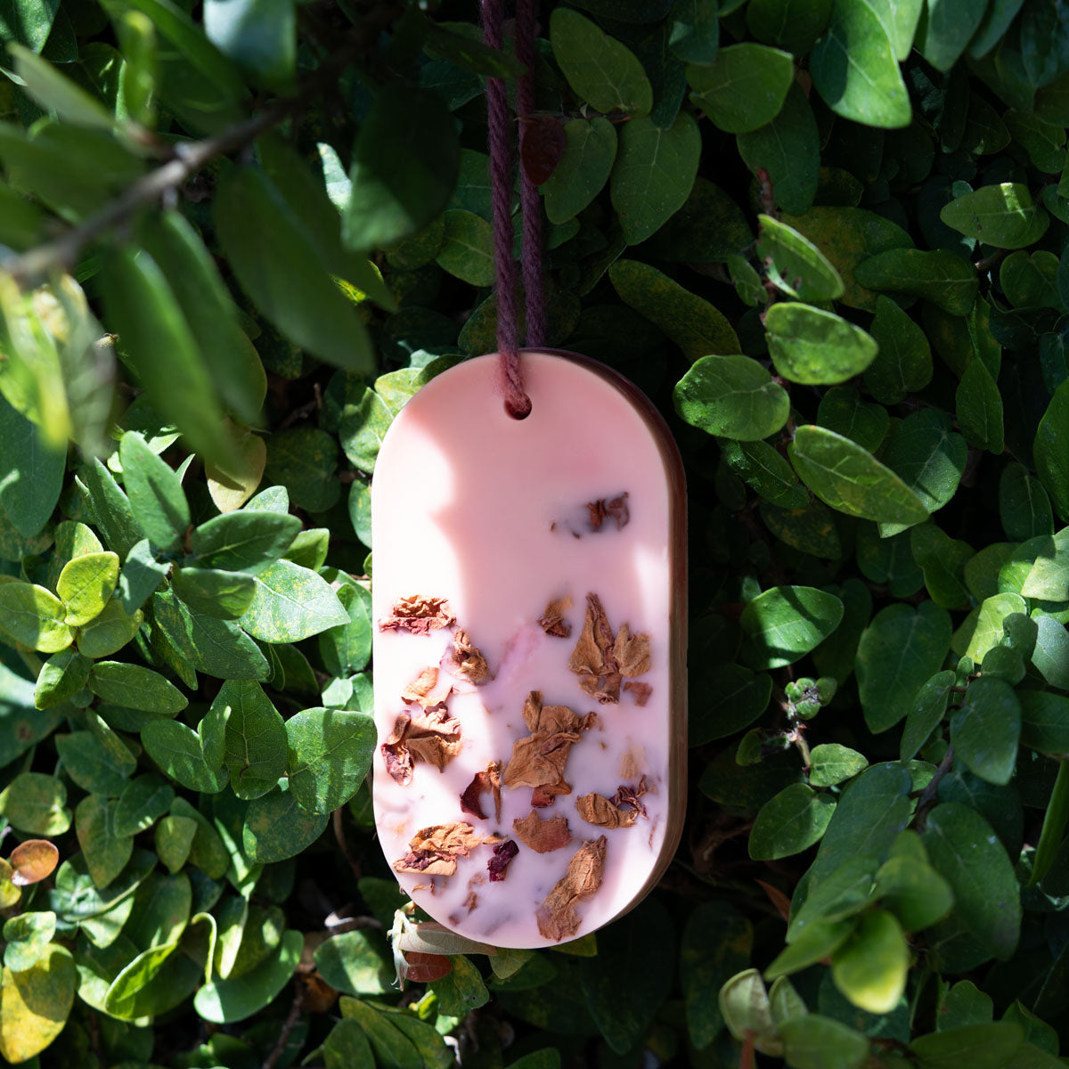 Wild Rose Wax Sachet