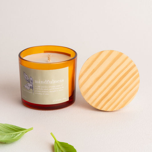 Find Your Calm Candle -  Basil & Camphor Fragrance Fragrance